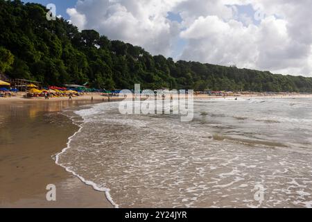 Belle vue sur la forêt tropicale verte dans la plage sauvage de Madeiro à Pipa Banque D'Images