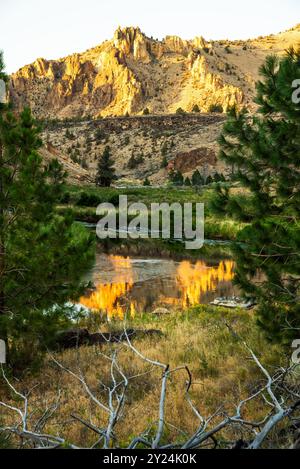 Coucher de soleil doré reflétant une rivière calme, entouré de pins. Banque D'Images