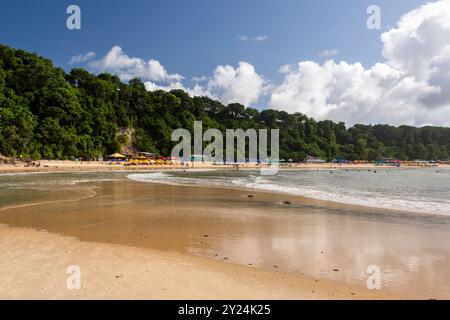 Belle vue sur la forêt tropicale verte dans la plage sauvage de Madeiro à Pipa Banque D'Images