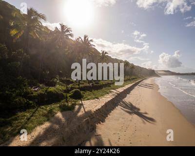 Belle vue aérienne aux cocotiers palmiers dans la plage sauvage de Pipa Banque D'Images