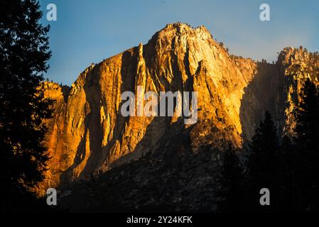 La lumière dorée illumine une imposante paroi rocheuse à Yosemite Banque D'Images