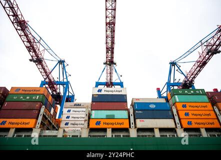 Hambourg, Allemagne. 09th Sep, 2024. Un porte-conteneurs est traité au Container terminal Tollerort (CTT) dans le port de Hambourg sur l'Elbe. Crédit : Daniel Bockwoldt/dpa/Alamy Live News Banque D'Images