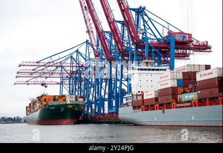 Hambourg, Allemagne. 09th Sep, 2024. Les porte-conteneurs sont traités au Container terminal Tollerort (CTT) dans le port de Hambourg sur l'Elbe. Crédit : Daniel Bockwoldt/dpa/Alamy Live News Banque D'Images
