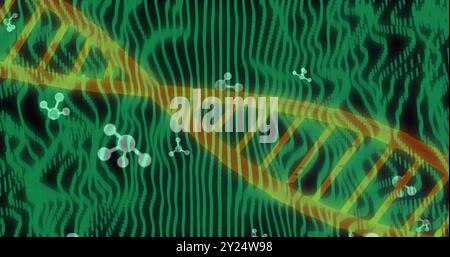 Brin d'ADN et structures moléculaires sur ondes vertes, image scientifique Banque D'Images