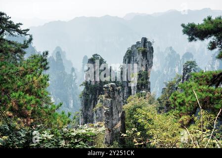 Vue fantastique sur les piliers de grès de quartz (Avatar Mountains) Banque D'Images