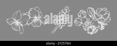 Fleurs de printemps dessin avec dessin au trait sur fond gris Illustration de Vecteur