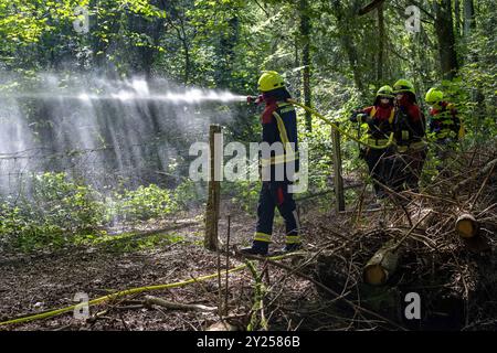 Übung zur Bekämpfung eines Vegetationsbrandes AM 07.09.2024Übung zur Bekämpfung eines Vegetationsbrandes AM 07.09.2024 07.09.24, Umwelt, Ungluecke : Uebung zur Bekaempfung eines Vegetations- bzw. Waldbrandes im Hardter Wald in Moenchengladbach mit CA. 80 Einsatzkraeften. Feuerwehrkraefte beim Einsatz im Unterholz. Foto : Kirchner-Media/TH *** exercice de lutte contre un incendie de végétation le 07 09 2024Exercise de lutte contre un incendie de végétation le 07 09 2024 07 09 24, environnement, accidents exercice de lutte contre un incendie de végétation ou de forêt à Hardter Wald à Moenchengladbach avec environ 80 pompiers travaillant dans le Banque D'Images