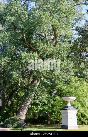 Le couvercle de puits de style Empire est l'une des structures originales des jardins botaniques d'Helsinki, Finlande, août 2024 Banque D'Images