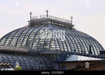 Le sommet des maisons vertes du jardin botanique de Kaisaniemi, Kaisaniemen kasvitieteellinen puutarha à Helsinki, Finlande, août 2024 Banque D'Images