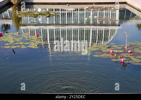 Réflexions dans l'étang devant les maisons vertes du jardin botanique de Kaisaniemi, Kaisaniemen kasvitieteellinen puutarha à Helsinki, Finlande, août 2024 Banque D'Images