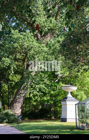 Le couvercle de puits de style Empire est l'une des structures originales des jardins botaniques d'Helsinki, Finlande, août 2024 Banque D'Images