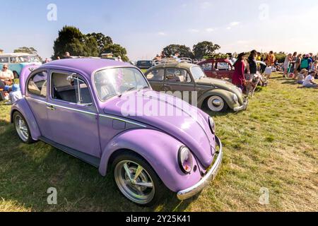 Exposition de voitures anciennes présentant des coléoptères Volkswagen vintage lilas et verts sur un terrain herbeux, avec des gens et d'autres voitures classiques en arrière-plan Banque D'Images