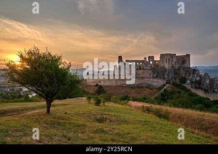 Château Beckov sur rocher avec arbre, gras haut et coucher de soleil. Ciel coloré au coucher du soleil. Paysage de soirée d'été avec atmosphère calme. Slovaquie Banque D'Images