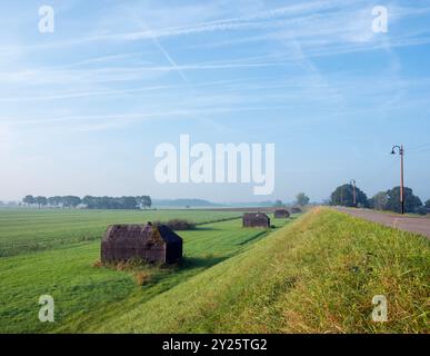 bunkers près de culemborg dans la prairie sur brumeux tôt le matin Banque D'Images