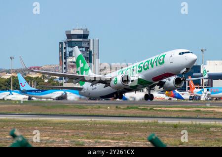 Boeing 737 de la compagnie aérienne Transavia décollant de l'aéroport El Altet, Alicante. Banque D'Images