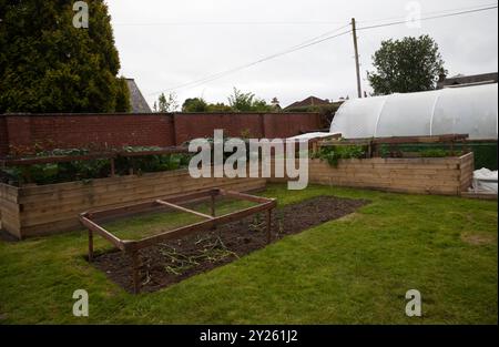 Jardin avec lits surélevés et polytunnel. Banque D'Images