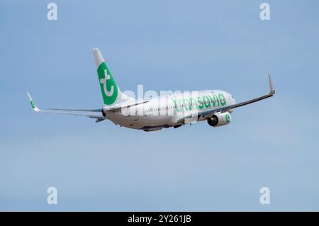 Boeing 737 de la compagnie aérienne Transavia décollant de l'aéroport El Altet, Alicante. Banque D'Images