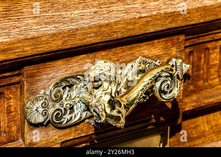 La poignée de porte lion en laiton exquise ajoute une touche d'élégance à l'armoire en bois richement texturée, mettant en valeur l'artisanat raffiné dans un bac parisien ensoleillé Banque D'Images