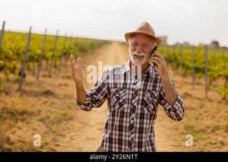 Un homme plus âgé portant un chapeau de paille sourit largement pendant qu'il parle sur son téléphone, se promenant le long d'un chemin de vignoble ensoleillé bordé de vignes Banque D'Images