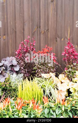 Un présentoir de fleurs vibrant et coloré mettant en vedette une variété de plantes étonnantes et un feuillage luxuriant dans un style jardin Banque D'Images