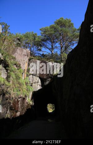 Tunnel sur le Vieux Jaerbanen Veien, itinéraire de randonnée le long d'une ancienne trasse ferroviaire entre Hellvik et Egersund, Norvège. Banque D'Images