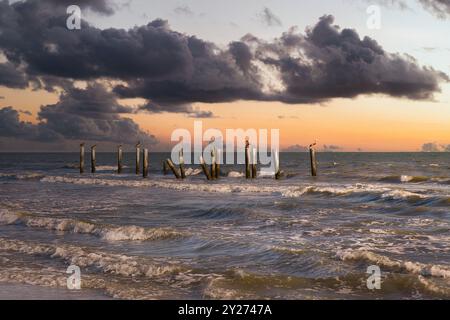 Pélicans reposant sur l'empilement de restes de jetée sur la plage de Floride avec beau ciel de coucher de soleil en arrière-plan Banque D'Images