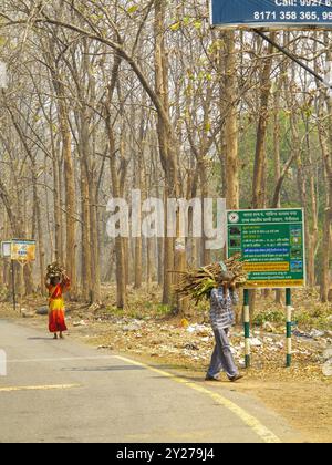 Peuple indien près de Corbett Jungle à Kaladhungi, Uttarakhand, Inde Banque D'Images