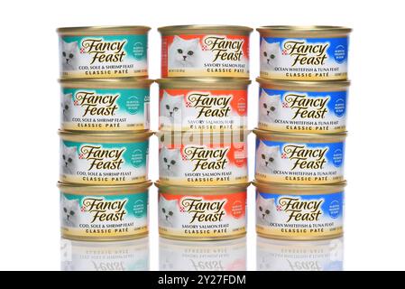 IRVINE, CALIFORNIE - 6 septembre 2024 : trois boîtes de nourriture Fancy Feast Cat différentes empilées sur quatre. Banque D'Images