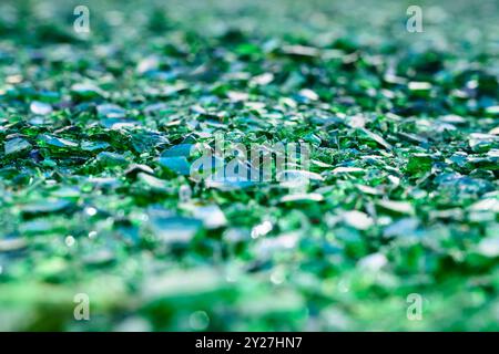 Grüne Glasscherben im Sonnenlicht Banque D'Images