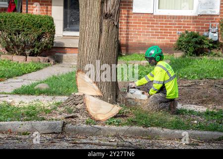 Detroit, Michigan - Un travailleur d'un service d'enlèvement d'arbres utilise une tronçonneuse pour abattre un arbre mort. Banque D'Images