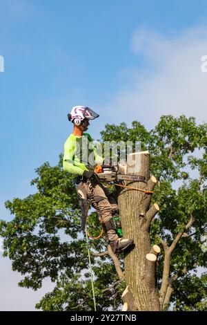 Detroit, Michigan - Un travailleur pour un service d'enlèvement d'arbres coupe un arbre mort. Banque D'Images