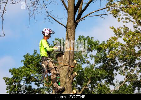 Detroit, Michigan - Un travailleur pour un service d'enlèvement d'arbres coupe un arbre mort. Banque D'Images