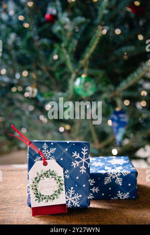 Image verticale de deux cadeaux enveloppés dans du papier de flocon de neige bleu avec arbre de Noël en arrière-plan Banque D'Images