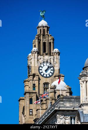 Vue rapprochée du célèbre Liver Building à Pier Head. Banque D'Images