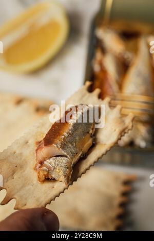 filet de sardine sur craquelin avec boîte de sardines emballées dans de l'huile d'olive Banque D'Images