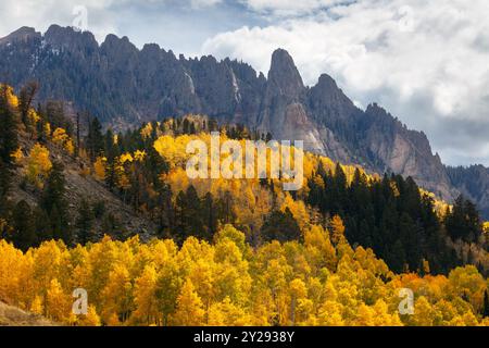 Feuillage d'automne dans le Colorado. Arbres de sapins d'automne le long de la route panoramique de San Juan Banque D'Images