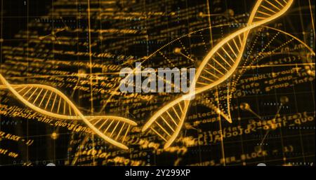 Image du traitement de données numériques et des brins d'adn sur fond noir Banque D'Images