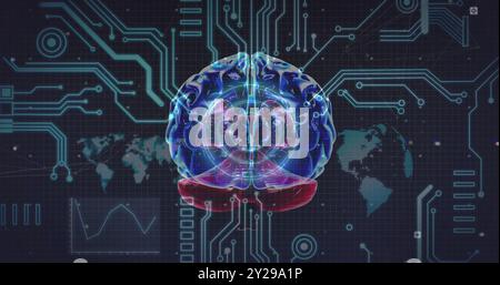Image du cerveau humain et de la carte de circuit imprimé au-dessus du globe Banque D'Images
