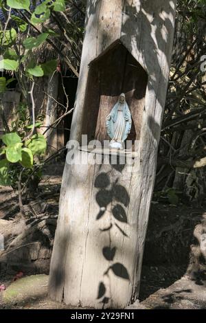 Madonna-Statue debout dans une niche sculptée d'une souche d'arbre, Pantanal Wetlands, Mato Grosso, Brésil, Amérique du Sud Banque D'Images