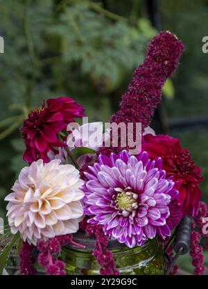 Petit bouquet de fleurs avec dahlias, Muensterland, Rhénanie du Nord-Westphalie, Allemagne, Europe Banque D'Images