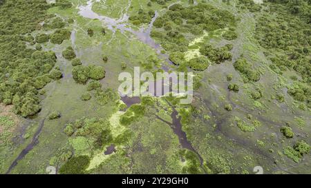 Plan aérien du paysage typique des zones humides du Pantanal avec lagons, forêts, prairies, rivière, Mato Grosso, Brésil, Amérique du Sud Banque D'Images