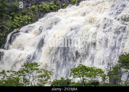 Gros plan d'une cascade dans une forêt tropicale dense, parc naturel de Caraca, Minas Gerais, Brésil, Amérique du Sud Banque D'Images