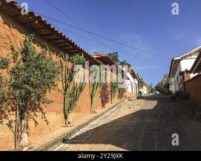 Vue sur la rue des maisons traditionnelles avec façades en pierre orange-brun, cactus et plantes au soleil, Barichara, Colombie, Amérique du Sud Banque D'Images