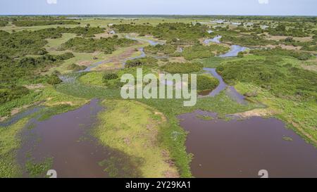 Plan aérien du paysage typique des zones humides du Pantanal avec lagunes, forêt, prairies, rivière, champs, Mato Grosso, Brésil, Amérique du Sud Banque D'Images