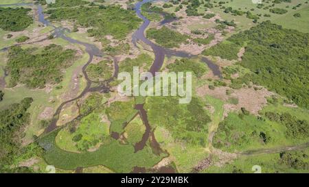 Plan aérien du paysage typique des zones humides du Pantanal avec lagunes, forêt, prairies, rivière, champs, Mato Grosso, Brésil, Amérique du Sud Banque D'Images