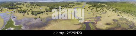 Panorama aérien du paysage typique des zones humides du Pantanal avec lagunes, rivières, prairies et forêts, Mato Grosso, Brésil, Amérique du Sud Banque D'Images