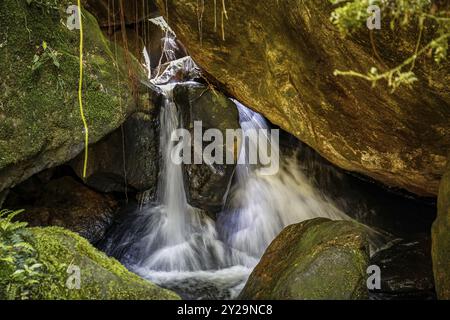 Gros plan d'une petite cascade pittoresque plongeant à travers de grands rochers couverts de mousse dans une piscine, forêt tropicale atlantique, Serra da Mantiqueira, Brésil, Sout Banque D'Images