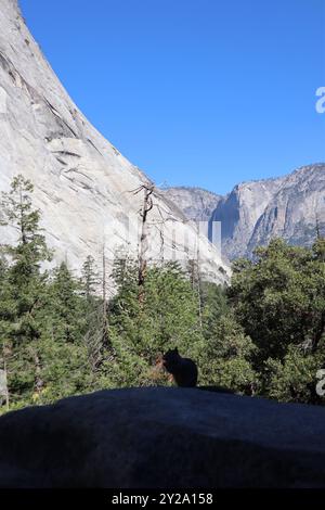 Silhouette d'écureuil contre le feuillage Yosemite et la montagne rocheuse en toile de fond avec ciel bleu Banque D'Images