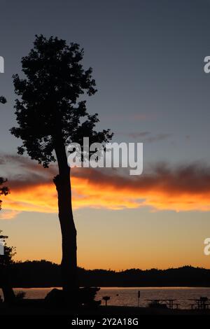 Silhouette d'arbre contre le coucher du soleil des nuages orange à Bass Lake California Banque D'Images