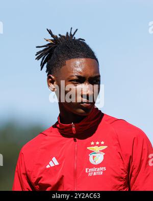 Alcochete, Portugal. 20 août 2024. Olivio Tomé (SL Benfica) vu lors du match de Liga Revelacao entre les équipes de Sporting CP et SL Benfica à Estadio Aurelio Pereira. Sporting u23 vs SL Benfica u23 ; score final 1:0 crédit : SOPA images Limited/Alamy Live News Banque D'Images